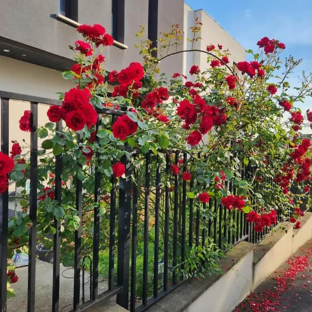 Daire Suite Familiale Moderne Proche Paris, 2 Ch, Jardin & Parking Gratuit Argenteuil
